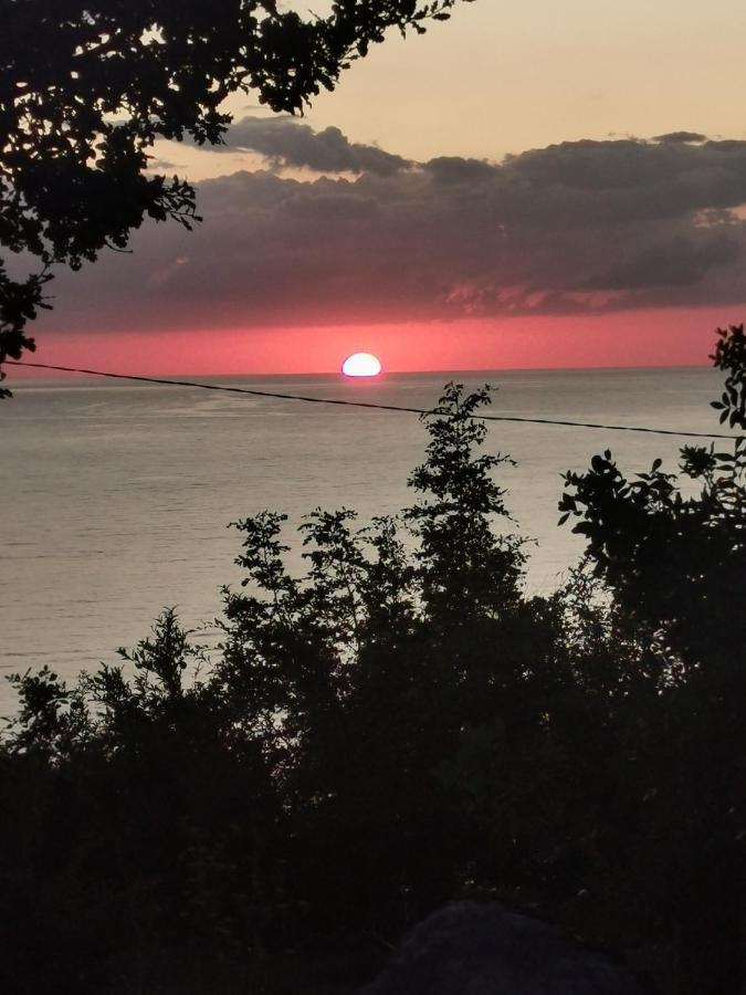 Ana Apartmani Sveti Stefan Dış mekan fotoğraf